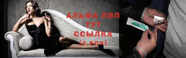 ПСИЛОЦИБИНОВЫЕ ГРИБЫ Белоозёрский