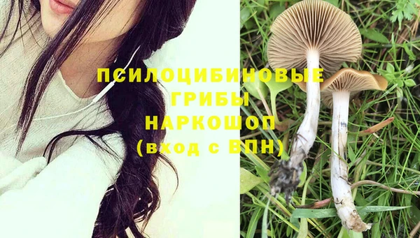 ПСИЛОЦИБИНОВЫЕ ГРИБЫ Белоозёрский